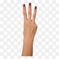 女人手示意图数字三-空若网 女人手示意图数字三-空若网