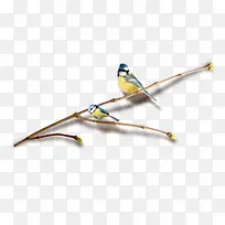 ��֦�ϵ���-������