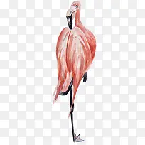 卡通可爱小动物装饰动物头像-空若网 卡通可爱小动物装饰动物头像-空若网