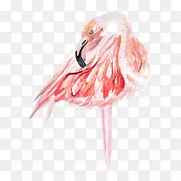 ��ͨ�ɰ�С����װ�ζ���ͷ��-������