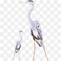 手绘中国风丹顶鹤矢量图-空若网 手绘中国风丹顶鹤矢量图-空若网