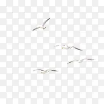 º£Å¸ËزÄͼƬ-¿ÕÈôÍø º£Å¸ËزÄͼƬ-¿ÕÈôÍø