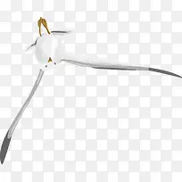 手绘飞翔海鸥精美-空若网 手绘飞翔海鸥精美-空若网