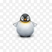 可爱的小企鹅-空若网 可爱的小企鹅-空若网