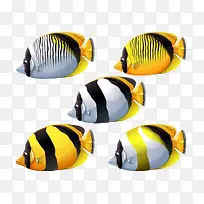 卡通手绘观赏鱼-空若网 卡通手绘观赏鱼-空若网