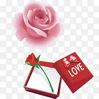 鲜玫瑰花-空若网 鲜玫瑰花-空若网
