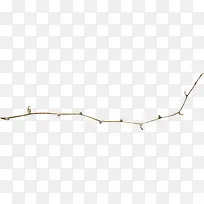 一支没有叶子的树枝-空若网 一支没有叶子的树枝-空若网