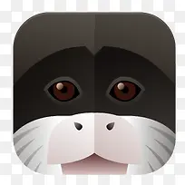 海豹图标PNG下载-空若网 海豹图标PNG下载-空若网