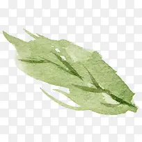 �ֻ�ˮ����Ҷ-������