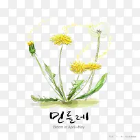 植物-空若网 植物-空若网