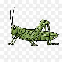 卡通可爱小动物装饰动物头像-空若网 卡通可爱小动物装饰动物头像-空若网