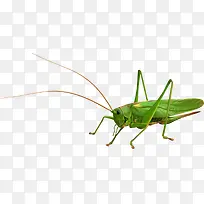 ����-������