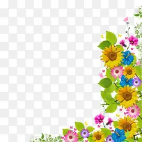 菊花装饰边框素材-空若网 菊花装饰边框素材-空若网