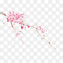 水彩鲜花-空若网 水彩鲜花-空若网