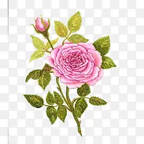 �¼����ֻ�����ز�-������