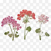 精美彩绘时尚花-空若网 精美彩绘时尚花-空若网