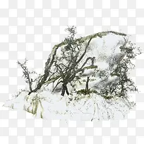 白雪树枝-空若网 白雪树枝-空若网