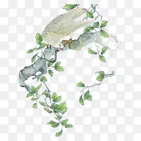 �ֻ�վ����֦�ϵ���ӥ-������