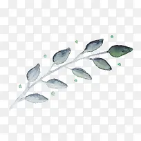 �ֻ�ˮī��֦-������