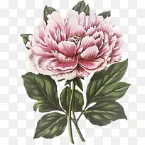 �ٻ�����������-������