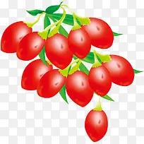 红色手绘枸杞-空若网 红色手绘枸杞-空若网