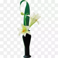 切花花瓶百合-空若网 切花花瓶百合-空若网