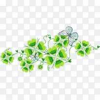 绿色四叶草-空若网 绿色四叶草-空若网