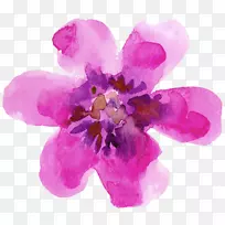 水彩画花纸水彩画紫色水彩画-空若网 水彩画花纸水彩画紫色水彩画-空若网