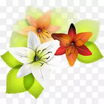 摄影-百合-空若网 摄影-百合-空若网