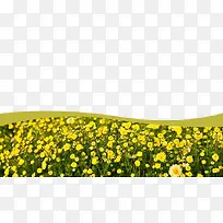 �ջ��׿��ز�-������