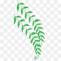 手绘装饰绿叶树枝插画素材-空若网 手绘装饰绿叶树枝插画素材-空若网