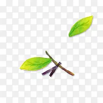 手绘绿叶树枝-空若网 手绘绿叶树枝-空若网