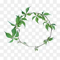 枝叶圆环-空若网 枝叶圆环-空若网