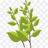 ��ͨ��֦ʸ��ͼ����-������