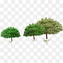 ïʢ�����޿򻭷羰-������