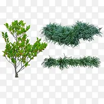 �����̲�-������