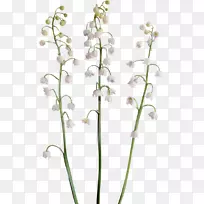 ��������-ɽ�Ȱٺϻ�-������