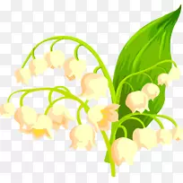 切花,花卉设计-山谷百合花-空若网 切花,花卉设计-山谷百合花-空若网