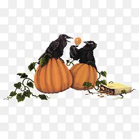矢量南瓜和乌鸦-空若网 矢量南瓜和乌鸦-空若网