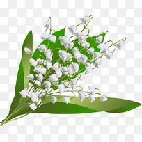 五月一日花卉图案花坛百合花-空若网 五月一日花卉图案花坛百合花-空若网