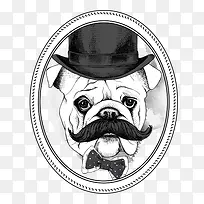 ��ͨ�ɰ��ֻ涯��-������