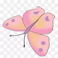 蝴蝶昆虫粉红画夹艺术-粉红蝴蝶-空若网 蝴蝶昆虫粉红画夹艺术-粉红蝴蝶-空若网