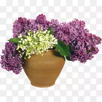 花盆丁香夹艺术-山谷百合花-空若网 花盆丁香夹艺术-山谷百合花-空若网