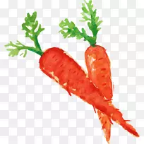 ���ܲ��߲�ʳƷ���ܲ�-������