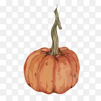 卡通手绘蔬菜装饰海报设计南瓜-空若网 卡通手绘蔬菜装饰海报设计南瓜-空若网