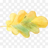 Ë®²Ê»Ò¶×Ó-¿ÕÈôÍø Ë®²Ê»Ò¶×Ó-¿ÕÈôÍø