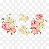 ĵ������-������