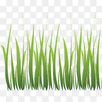 生长的装饰假花假草-空若网 生长的装饰假花假草-空若网