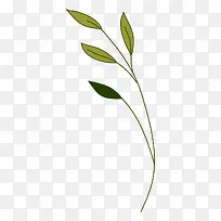 低矮小草-空若网 低矮小草-空若网