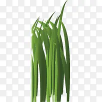 绿色的小草元素-空若网 绿色的小草元素-空若网